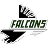 Faribault Falcons